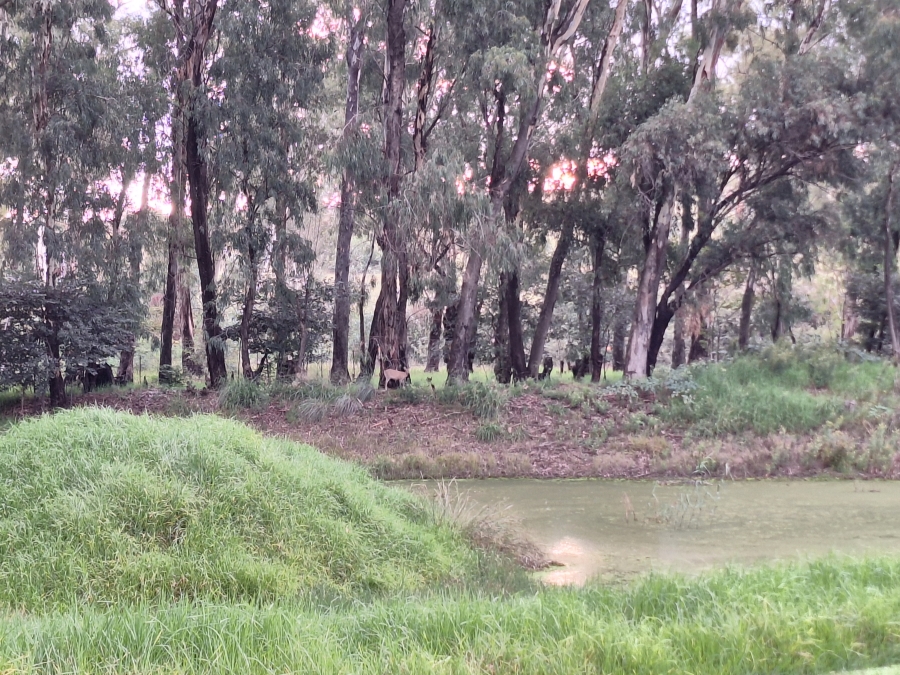 3 Bedroom Property for Sale in Vrede Free State